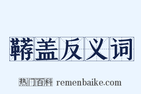 鞯盖反义词是什么意思的图片